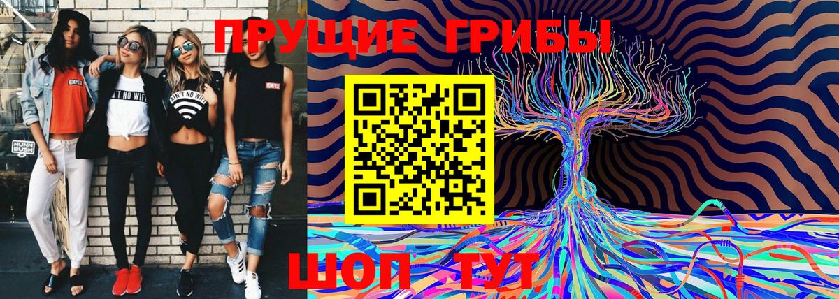 Псилоцибиновые грибы Magic Shrooms  Галлюциногенные грибы прущие грибы  Вход с VPN  где купить наркоту  Муравленко 