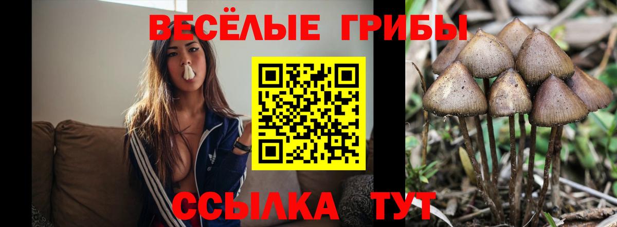 Псилоцибиновые грибы прущие грибы Муравленко